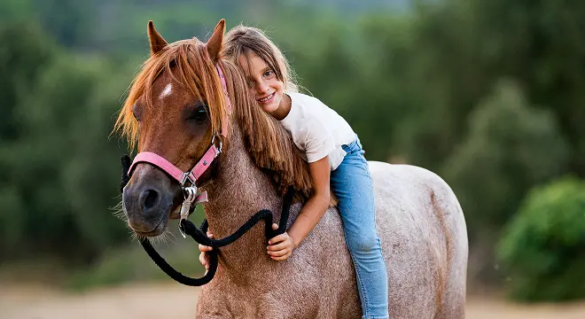 日常に溶け込む競馬文化